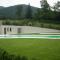 Progetto e direzione lavori per la realizzazione di un giardino con piscina in Concesio (Bs)